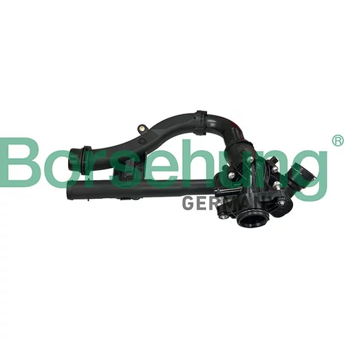 Termostat chladenia Borsehung B10566