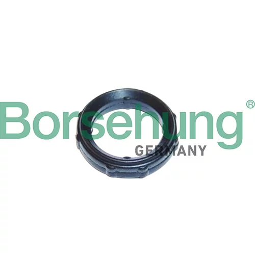 Tesnenie veka rozvodov Borsehung B10651