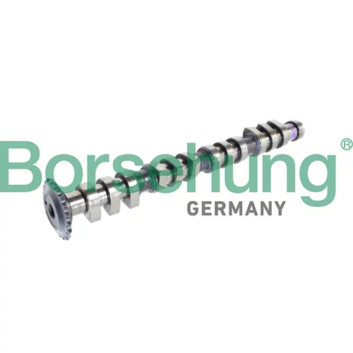 Vačkový hriadeľ Borsehung B11316