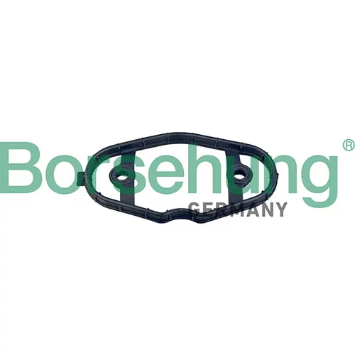 Tesnenie veka hlavy valcov Borsehung B12973