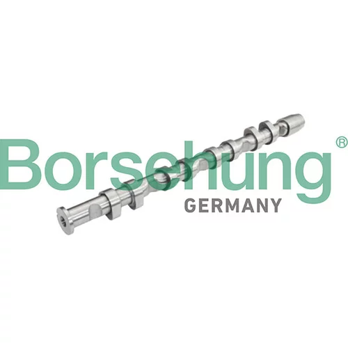 Vačkový hriadeľ Borsehung B13032
