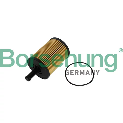 Olejový filter Borsehung B12224
