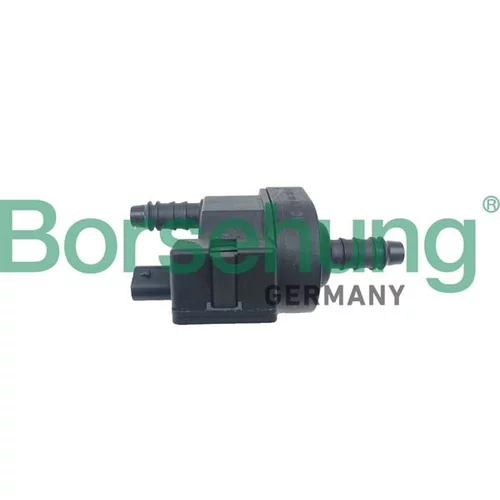 Ventil pre filter s aktívnym uhlím (AKF-Ventil) Borsehung B12315