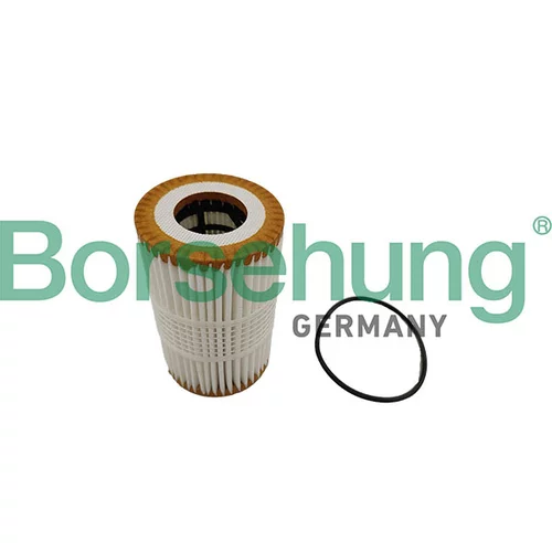 Olejový filter Borsehung B10448