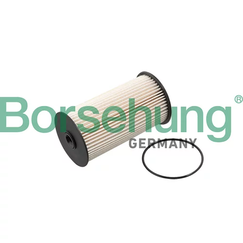 Palivový filter Borsehung B10520