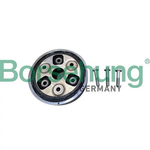 Kĺbový hriadeľ Borsehung B10612