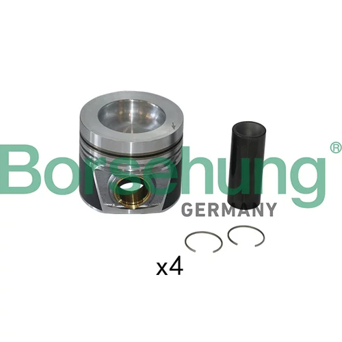 Piest Borsehung B11130