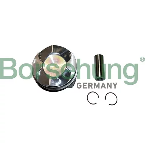 Piest Borsehung B11144
