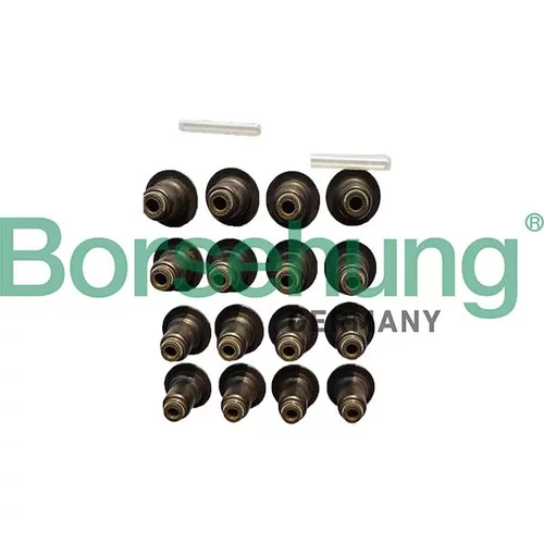 Tesniaci krúžok drieku ventilu Borsehung B12506