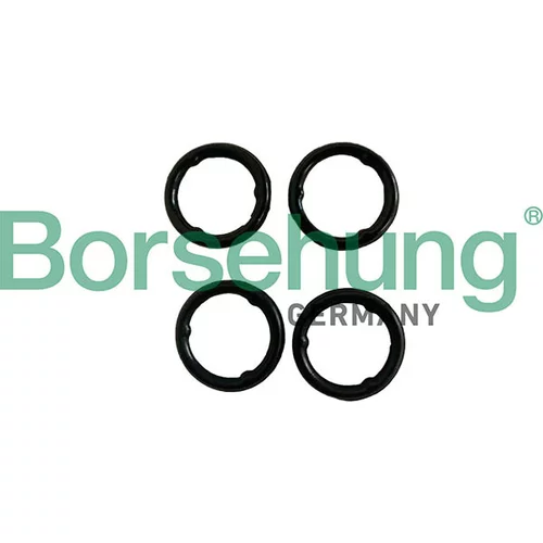 Tesnenie chladiča oleja Borsehung B13258