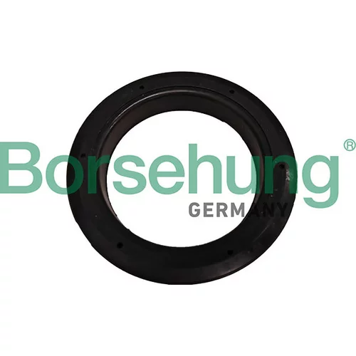 Tanier pružiny Borsehung B13445