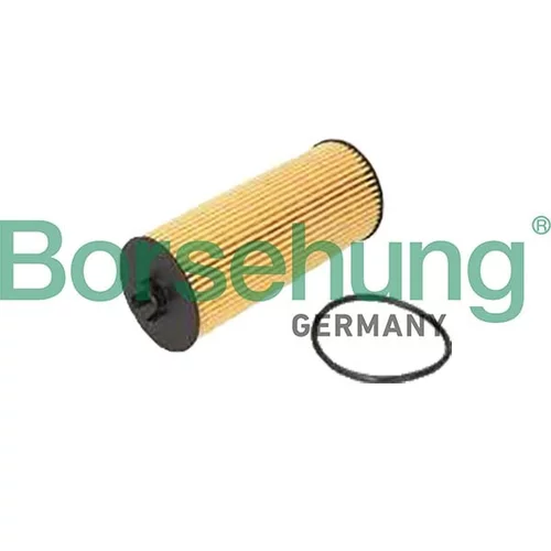 Olejový filter Borsehung B10443