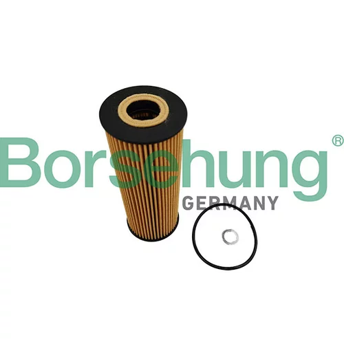 Olejový filter Borsehung B10446