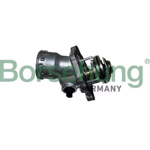 Termostat chladenia Borsehung B10556
