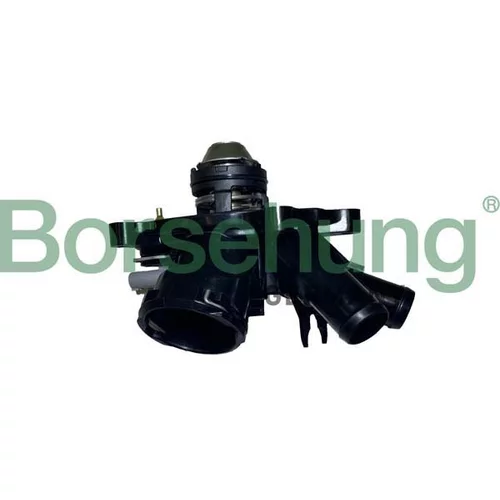 Termostat chladenia Borsehung B10557