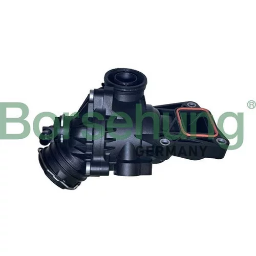 Termostat chladenia Borsehung B10559