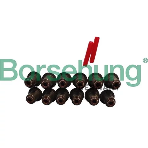 Tesniaci krúžok drieku ventilu Borsehung B12508