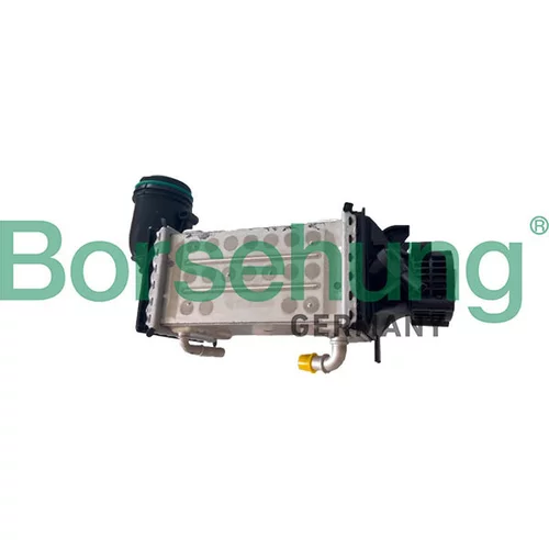 Chladič plniaceho vzduchu B12922 /Borsehung/