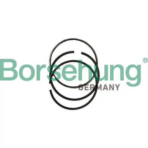 Sada piestnych krúžkov Borsehung B10380