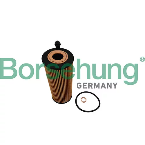 Olejový filter Borsehung B10463