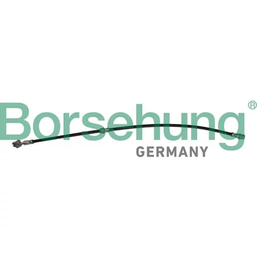 Brzdová hadica Borsehung B10952 (Borsehung GERMANY)