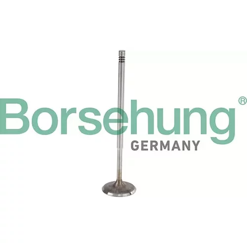 Nasávací ventil Borsehung B13510
