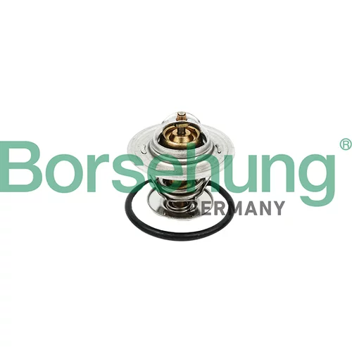 Termostat chladenia Borsehung B18256