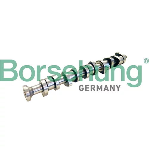 Vačkový hriadeľ Borsehung B11309