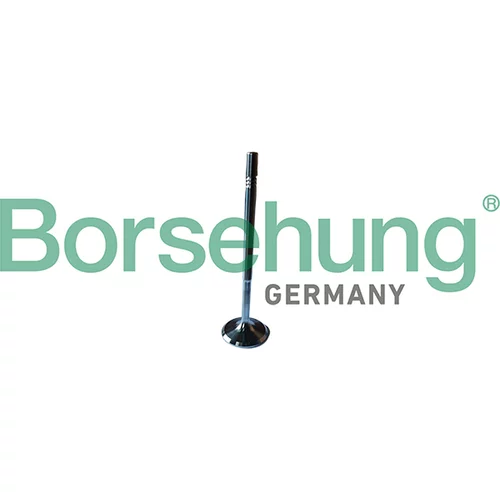 Nasávací ventil Borsehung B13246