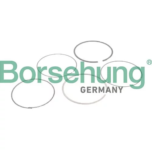 Sada piestnych krúžkov Borsehung B10373
