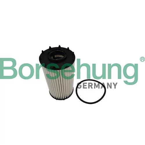 Olejový filter Borsehung B10449