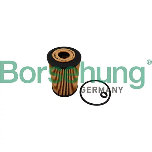 Olejový filter Borsehung B10456