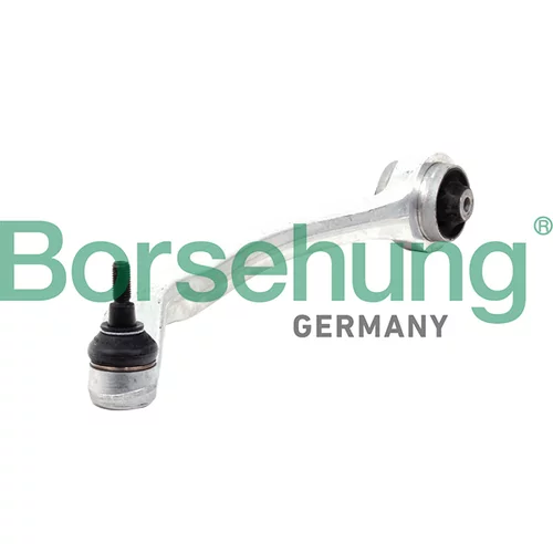 Rameno zavesenia kolies Borsehung B10856