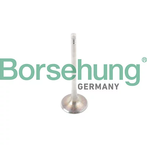Nasávací ventil Borsehung B13244
