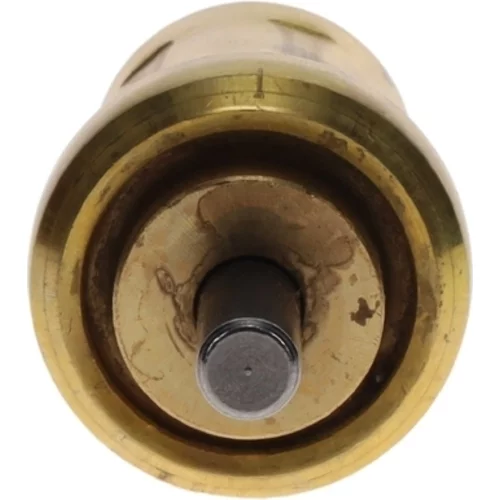 Termostat chladenia BOSCH 1 467 202 302