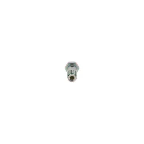 Skrutka BOSCH 2 443 456 900