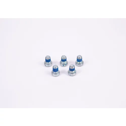 Skrutka BOSCH 2 423 429 003