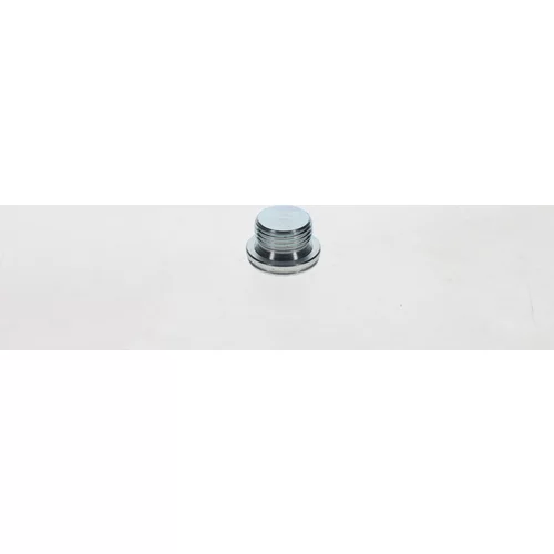 Skrutka BOSCH 2 423 462 037