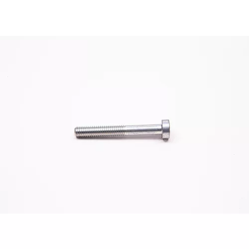 Skrutka 1 463 414 312 /BOSCH/ - obr. 1