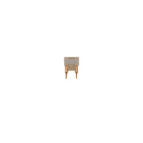 Poistka BOSCH 1 987 529 075