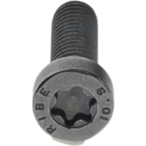 Skrutka BOSCH F 00N 202 191