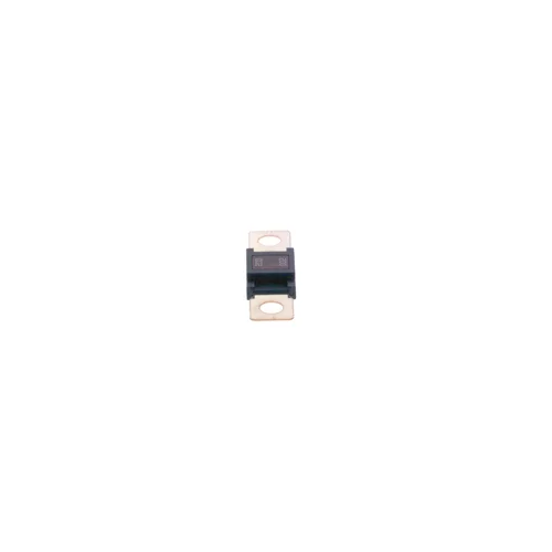 Poistka BOSCH 1 987 531 004
