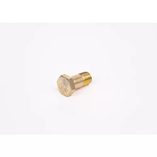 Skrutka F 002 D13 579 /BOSCH/ - obr. 2