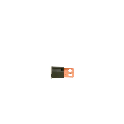 Poistka 1 987 529 073 /BOSCH/ - obr. 1