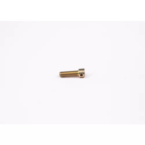 Skrutka 2 423 410 031 /BOSCH/ - obr. 1