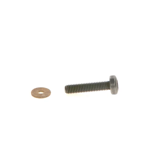Skrutka F 00N 202 193 /BOSCH/ - obr. 1