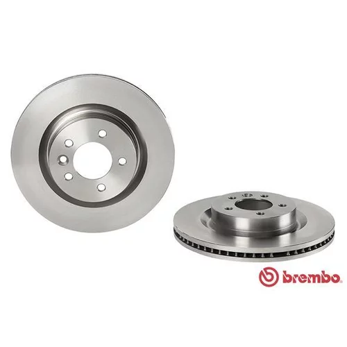 Brzdový kotúč 09.8875.30 /BREMBO/ - obr. 1