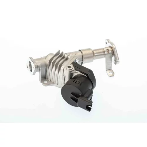 EGR ventil BTS Turbo A100111