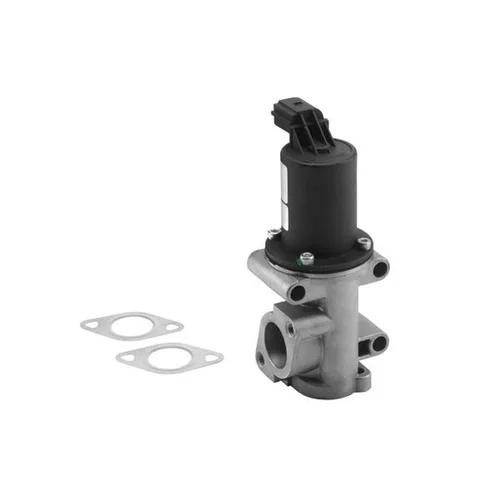 EGR ventil BTS Turbo A100058BL