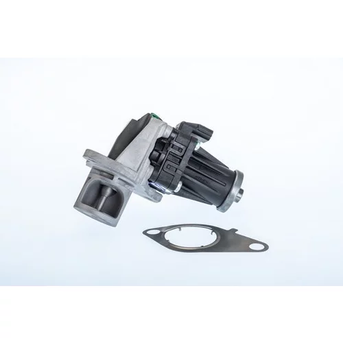 EGR ventil A100069BL (BTS Turbo)